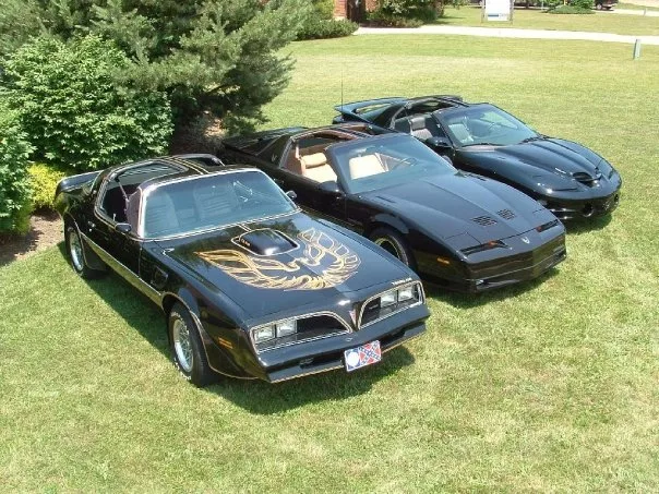 carros passaros 3 jpg Carros com Nomes de Pássaros: Curiosidades e Características