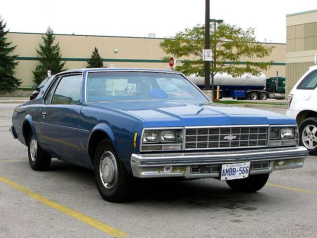 carros passaros 5 1 jpg Carros com Nomes de Pássaros: Curiosidades e Características