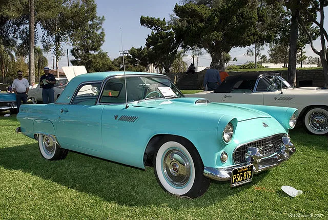 carros passaros 7 jpg Carros com Nomes de Pássaros: Curiosidades e Características