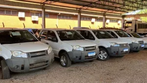 Leilão de Veículos no Paraná: Oportunidades Imperdíveis para Carros, SUVs e Caminhões