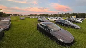 Mistério: centenas de carros elétricos 0km Tesla estão abandonados na Flórida; saiba o motivo.