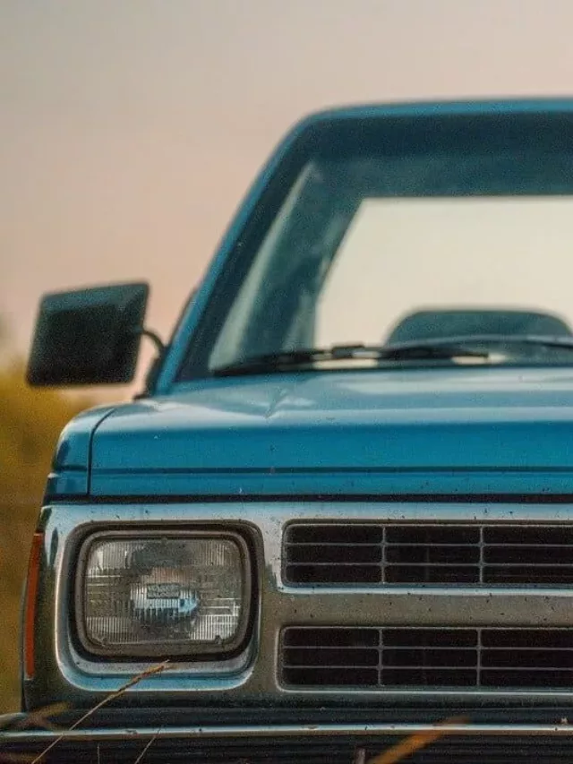 cropped-chevrolet-d20.webp