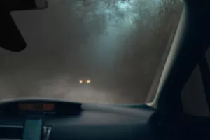 Saiba como dirigir na neblina com mais segurança e confiança.