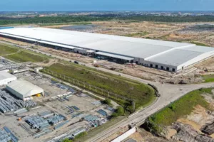 BYD atinge 150 mil carros vendidos no Brasil e consolida liderança no mercado de eletrificados