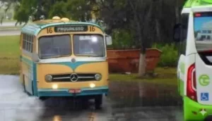 Exponi 50 reúne raridades do transporte coletivo e surpreende com ônibus conceito em Curitiba