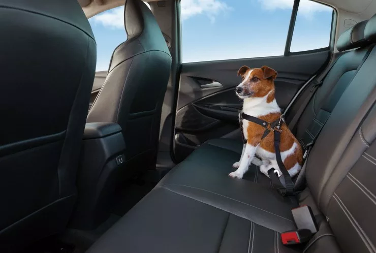 1 20chgage45083 v6 60221284 Chevrolet lança assistência veterinária veicular com botão SOS