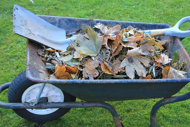Transforme suas folhas secas em adubo orgânico: aprenda a fazer compostagem em casa