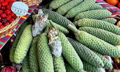 Essa fruta parece milho, cheira a abacaxi e engana quem tem pressa