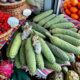 Essa fruta parece milho, cheira a abacaxi e engana quem tem pressa