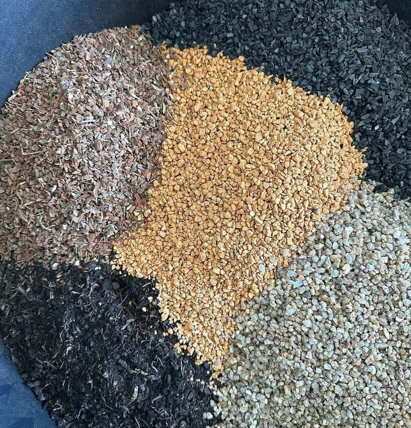 Substrato para orquídeas: o que aprendi depois de anos testando cada tipo na minha floricultura