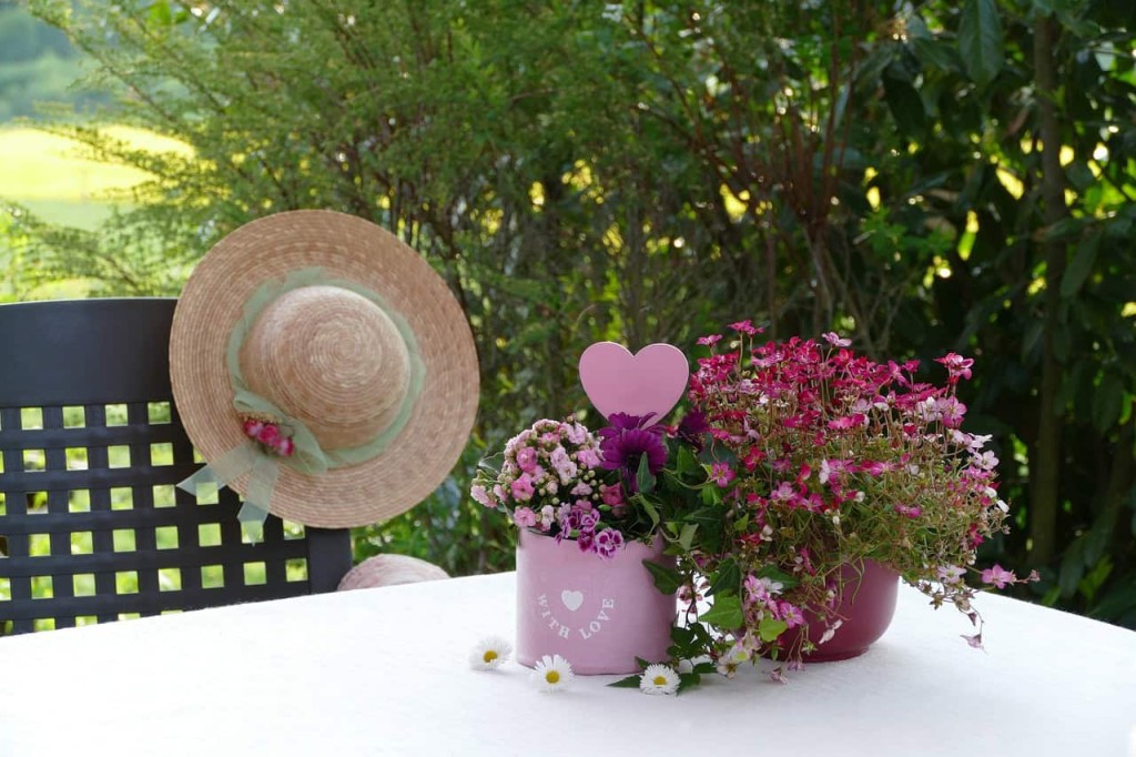 Conheça as cores mais comuns da flor-da-fortuna (Kalanchoe) e os cuidados básicos para manter sua floração