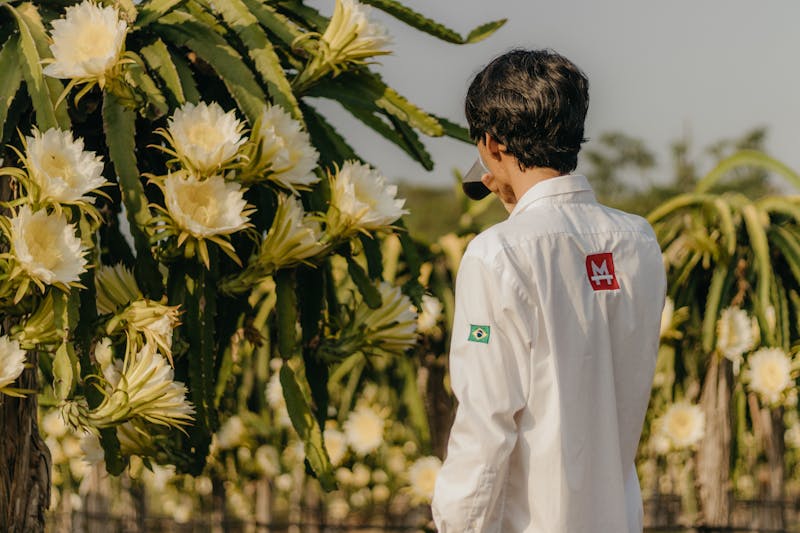 Como fazer muda de pitaya em casa? Guia Completo para Fazer Mudas e Cultivar com Sucesso