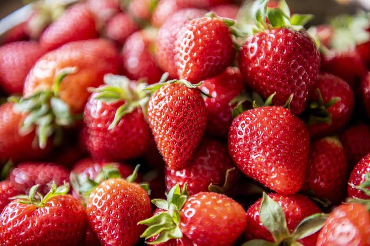 Festa de Flores e Morangos de Atibaia impulsiona a agricultura rural e conecta produtores ao consumidor