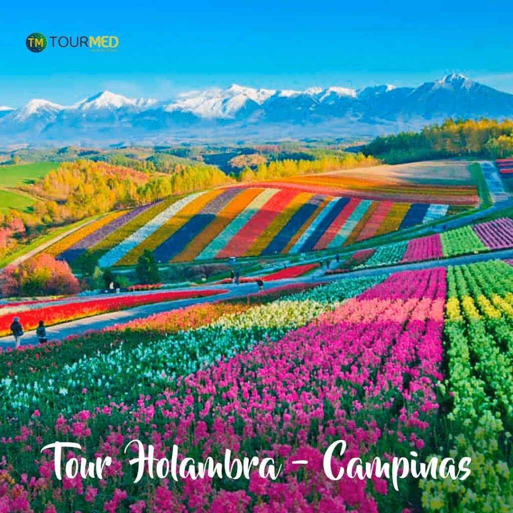 Vai a cidade das flores? Saiba o que fazer em Holambra.