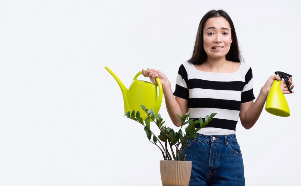 Babosa como adubo: O segredo natural para nutrir suas plantas