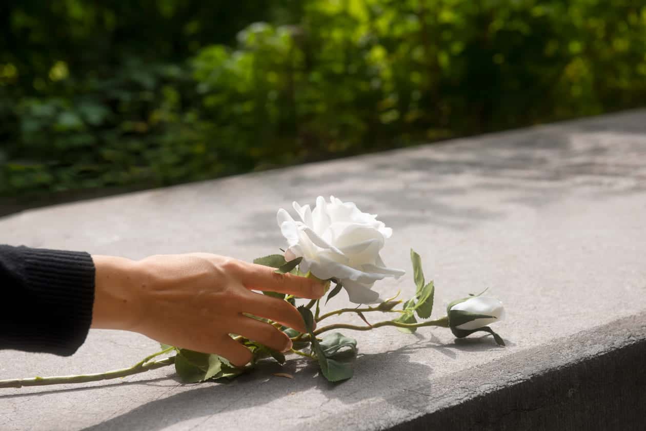 Flores para o Dia de Finados: Homenagens Floridas e Seus Significados Profundos