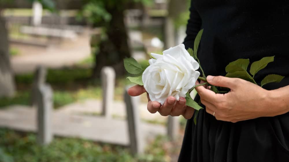 O Significado das Flores no Dia de Finados: Homenagens que Refletem Memória e Respeito