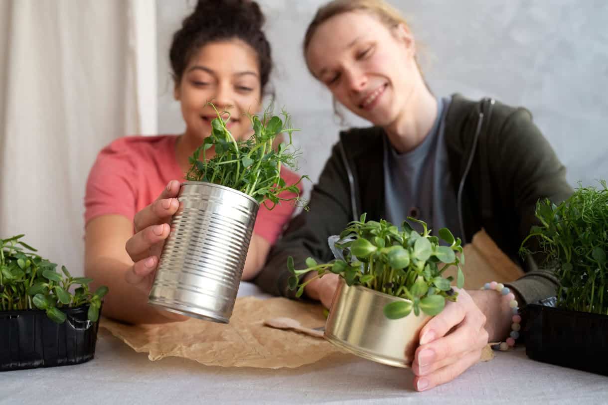 O poder do sal no jardim: o fertilizante natural que você já tem em casa