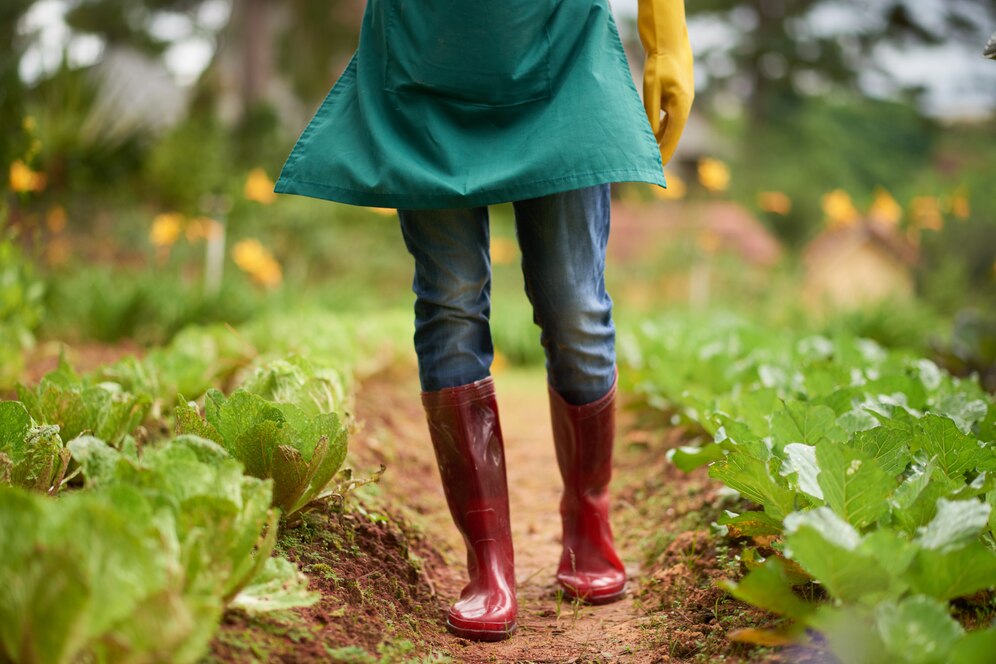 Adubação Foliar: Nutrição Imediata e Alta Produtividade para Plantas
