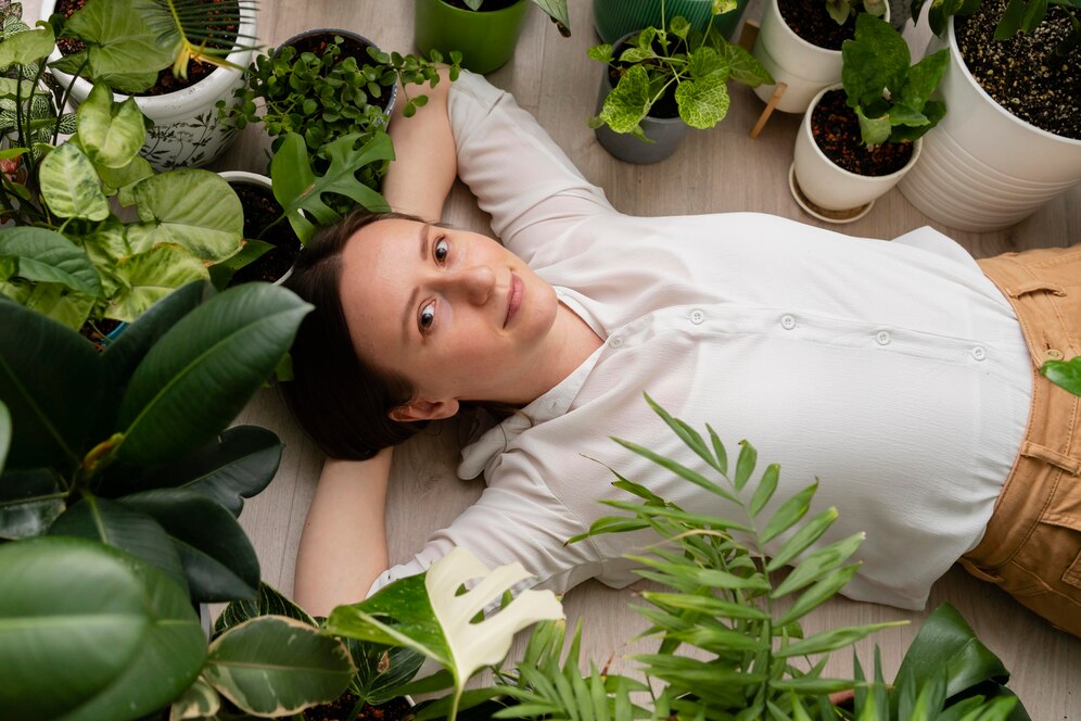 Plantas Terapêuticas que Podem Transformar Sua Casa em um Refúgio de Paz e Bem-Estar