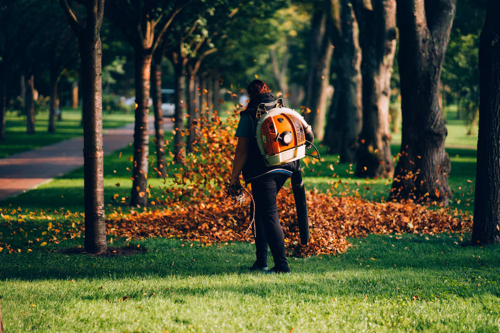 Descarte correto de resíduos de poda: um cuidado essencial para o meio ambiente