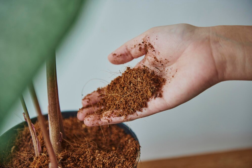 Bokashi: um composto orgânico essencial para solos saudáveis