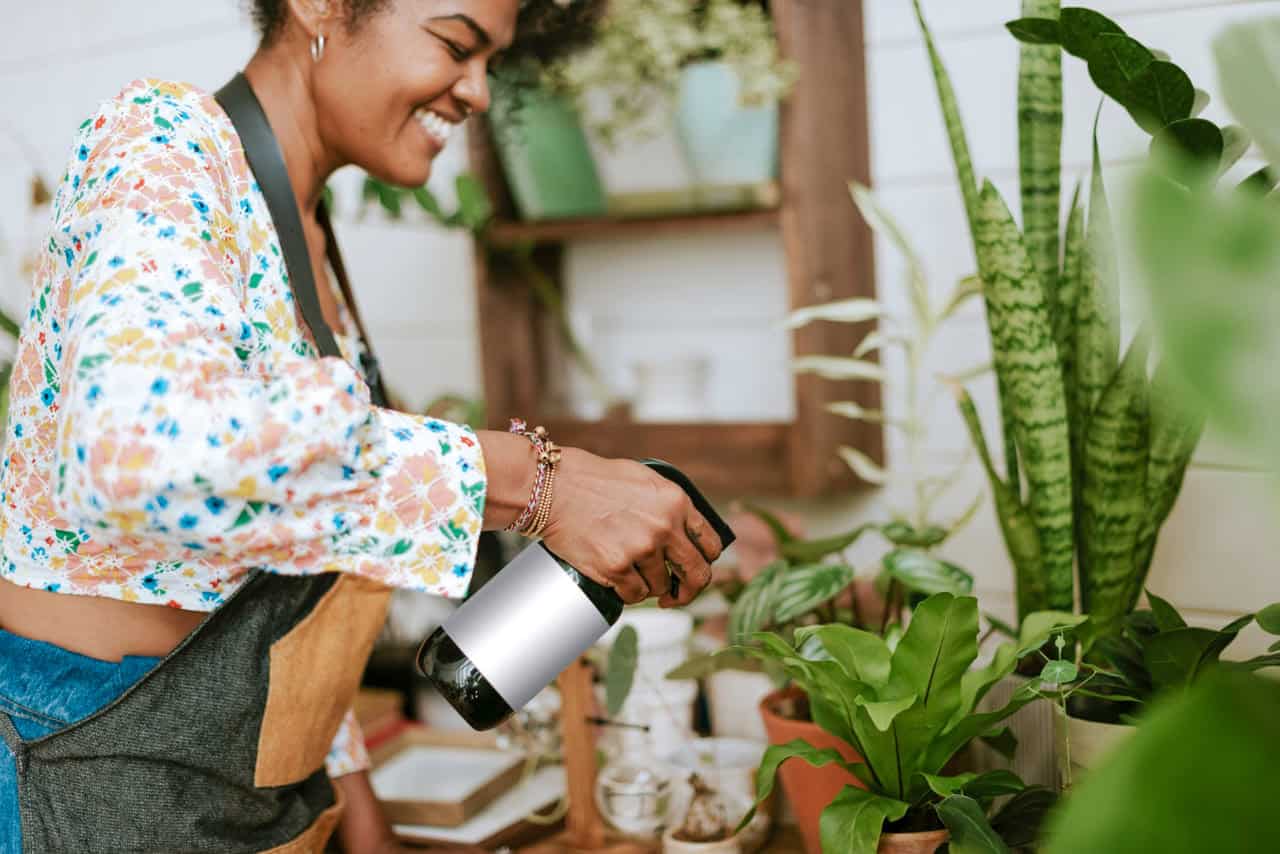 5 DICAS para CUIDAR das PLANTAS durante as FÉRIAS DE VERÃO