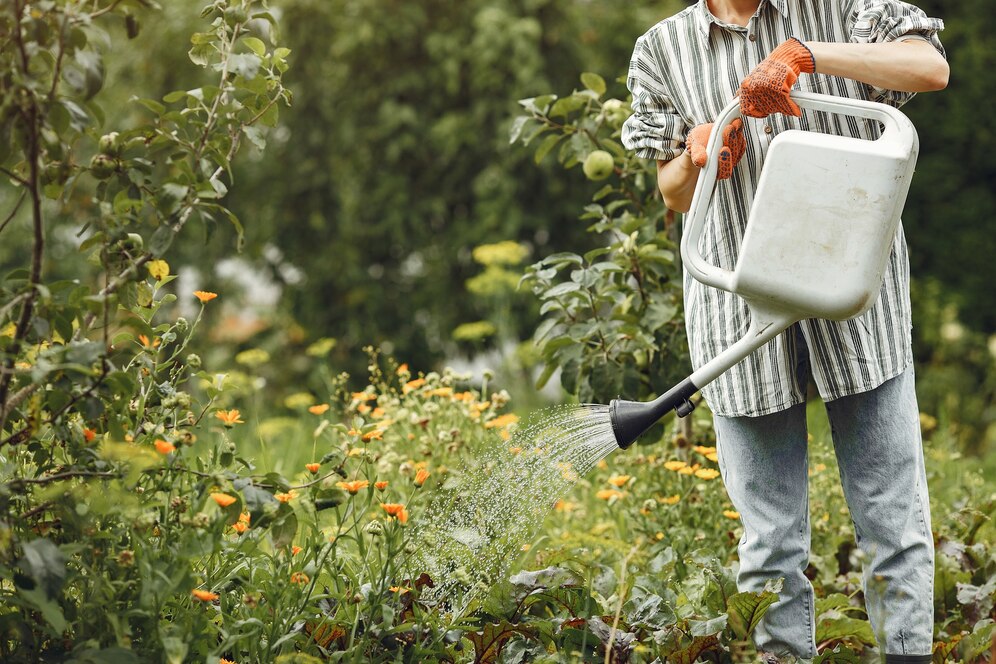 Como Eliminar Formigueiros no Jardim