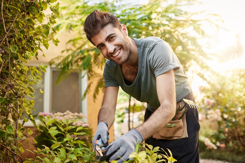 Como Eliminar Formigueiros no Jardim