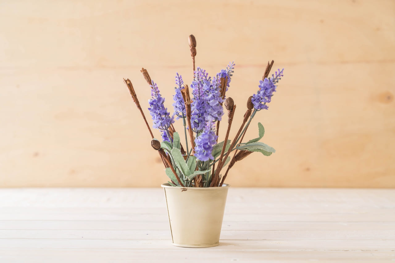 Aprenda a cultivar ALECRIM e LAVANDA em VASO.