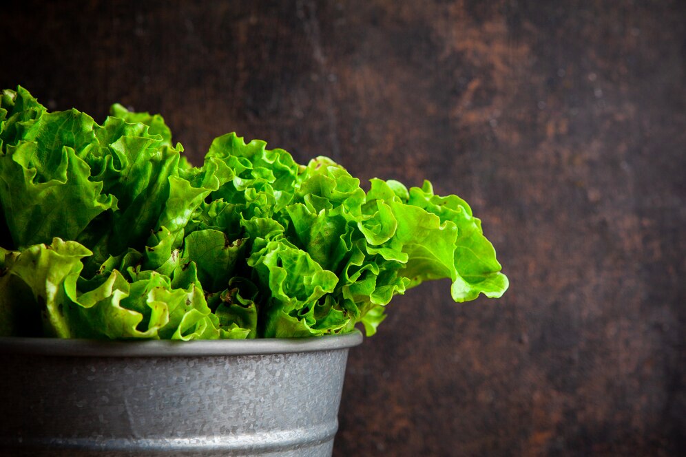 5 plantas produtivas e fáceis de cuidar para pequenas varandas