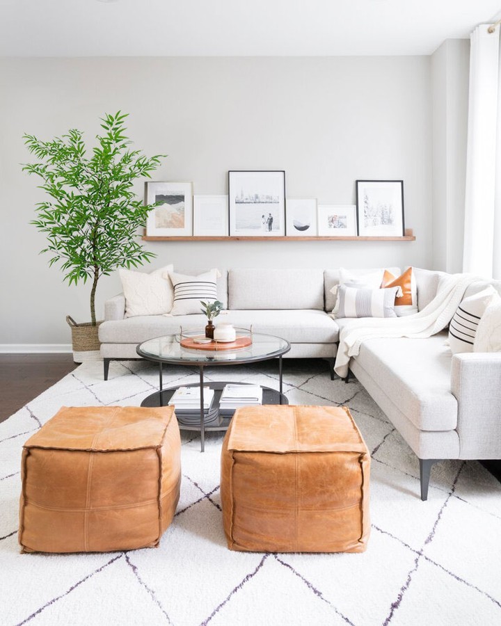 Bambu-mossô: como cultivar a elegante planta ornamental de origem chinesa