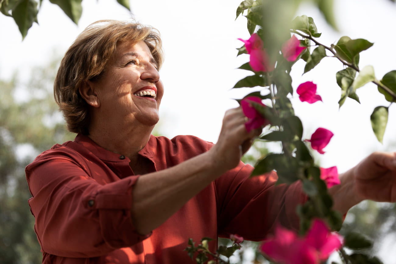 Plantas de Casa de Vó: Beleza, Tradição e Memórias Afetivas no Jardim