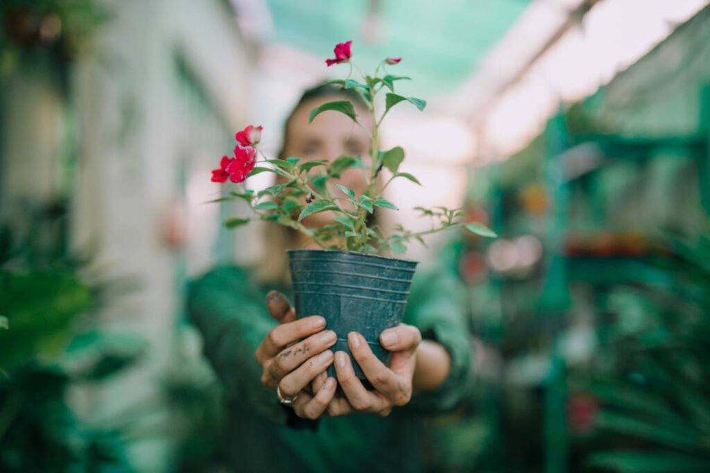 Floristas enfrentam desafios, mas mantêm otimismo com digital e datas sazonais