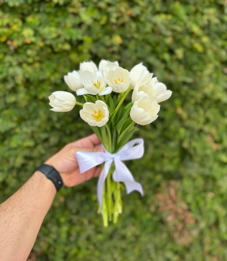 Flores brancas que encantam: conheça as espécies perfeitas para presentear