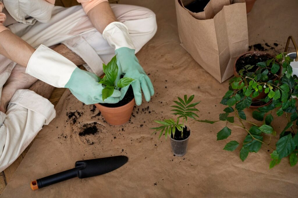 Adubação no outono: como nutrir suas plantas para enfrentar o inverno e florescer na primavera