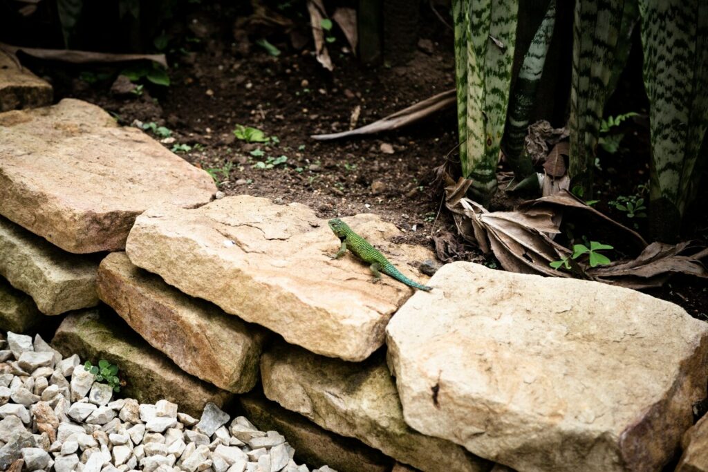 pedras para jardim