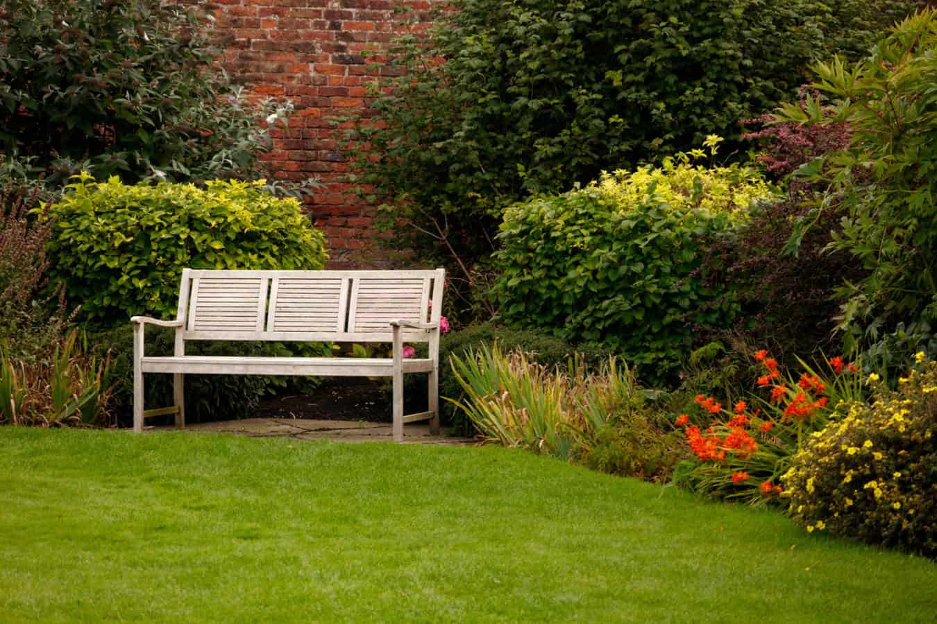 5 plantas para jardim externo que fogem do óbvio e são fáceis de cuidar.