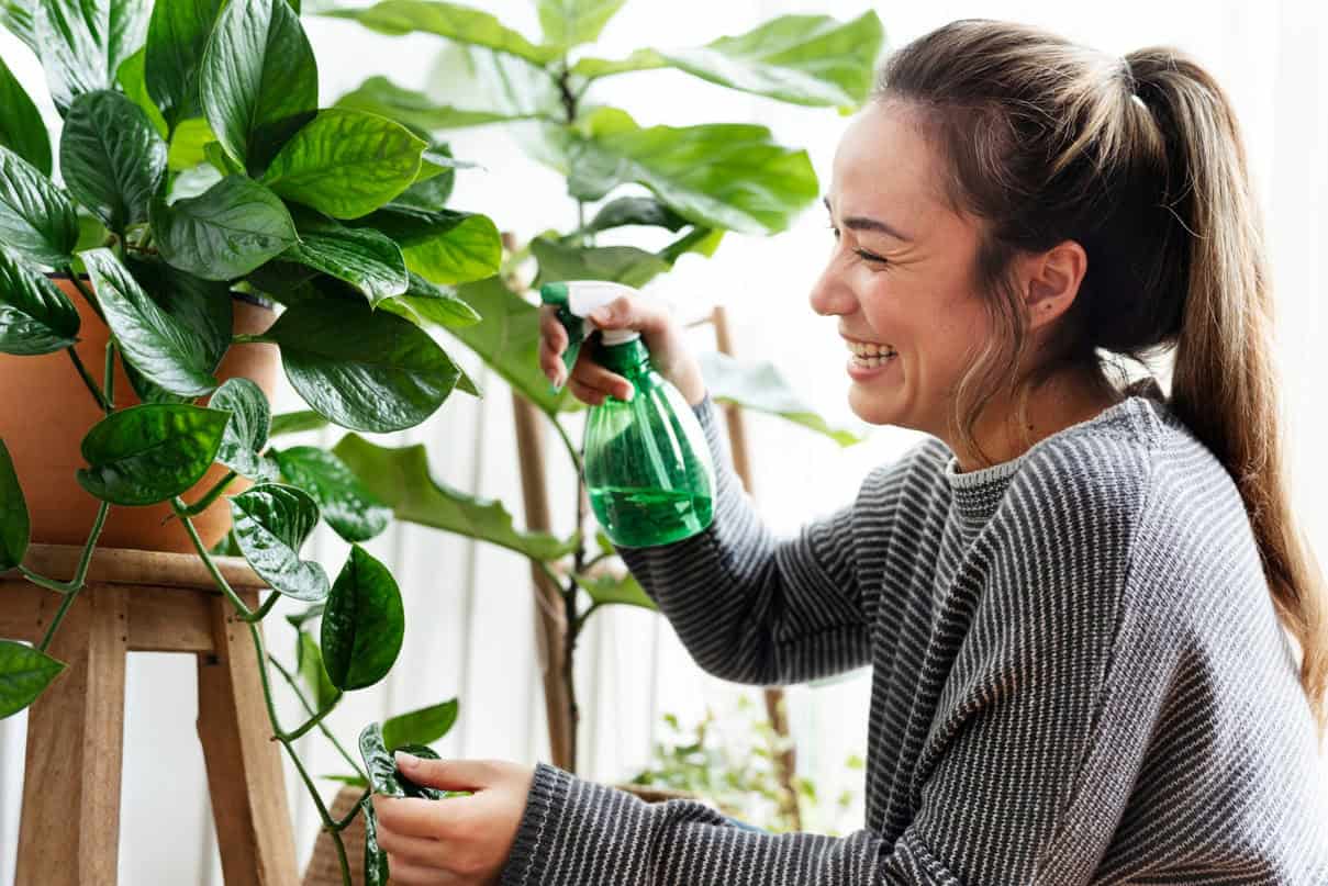 Plantas com nomes curiosos
