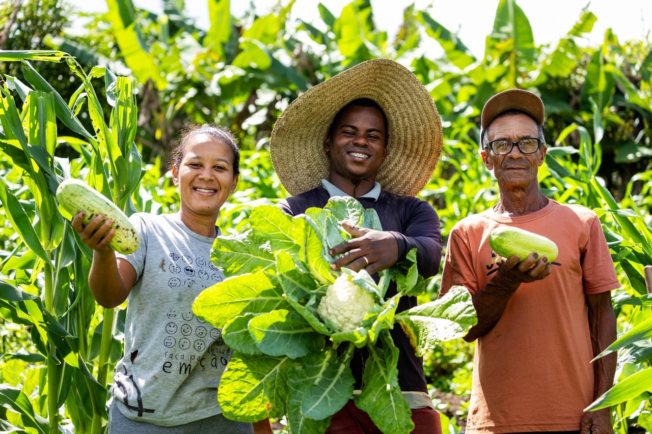 PANC ganham espaço na agricultura familiar e impulsionam sistemas mais sustentáveis