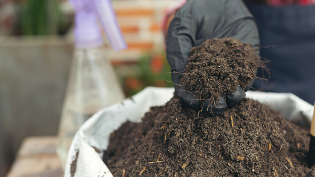 O papel do húmus de minhoca na regeneração do solo em sistemas agroflorestais