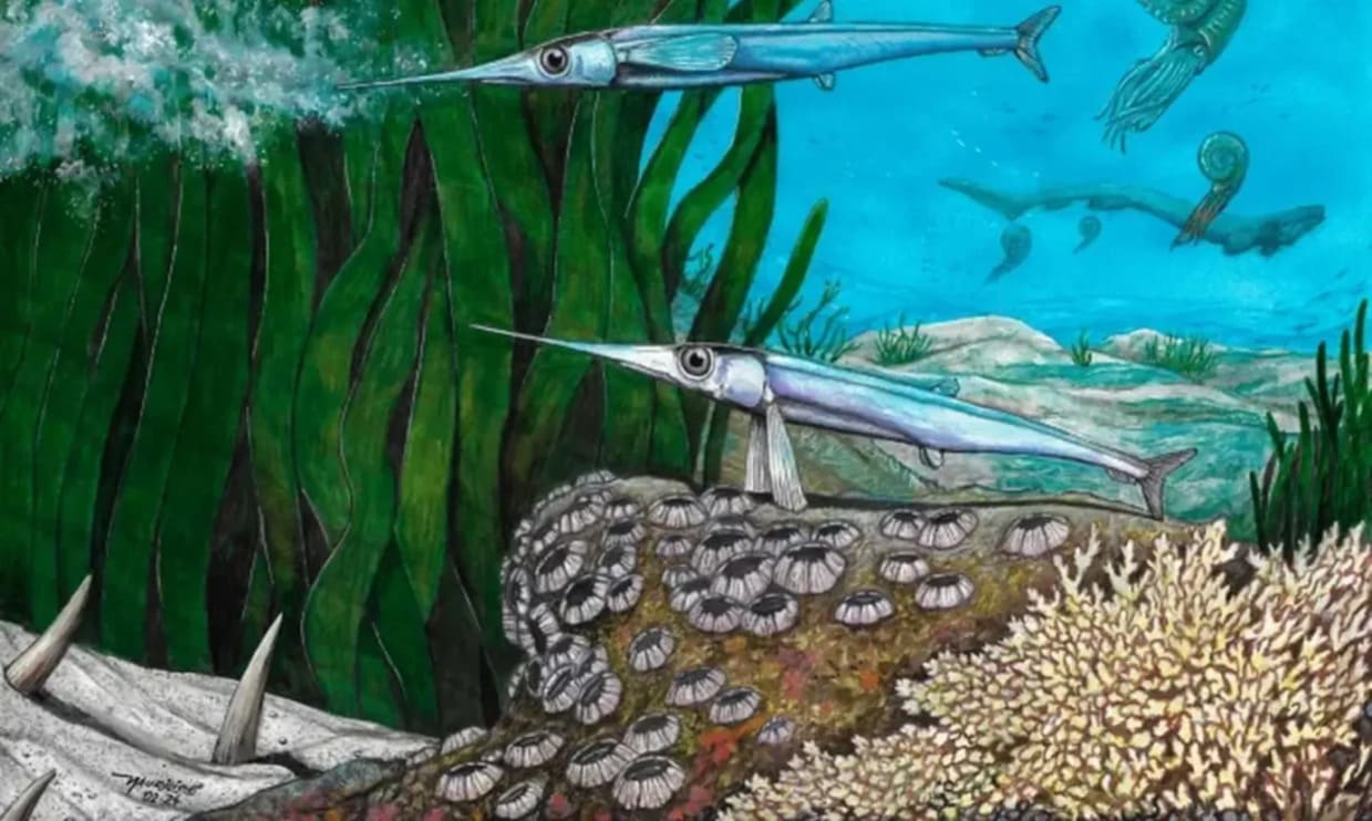 Fóssil raro de peixe do Cretáceo é encontrado na Península Antártica