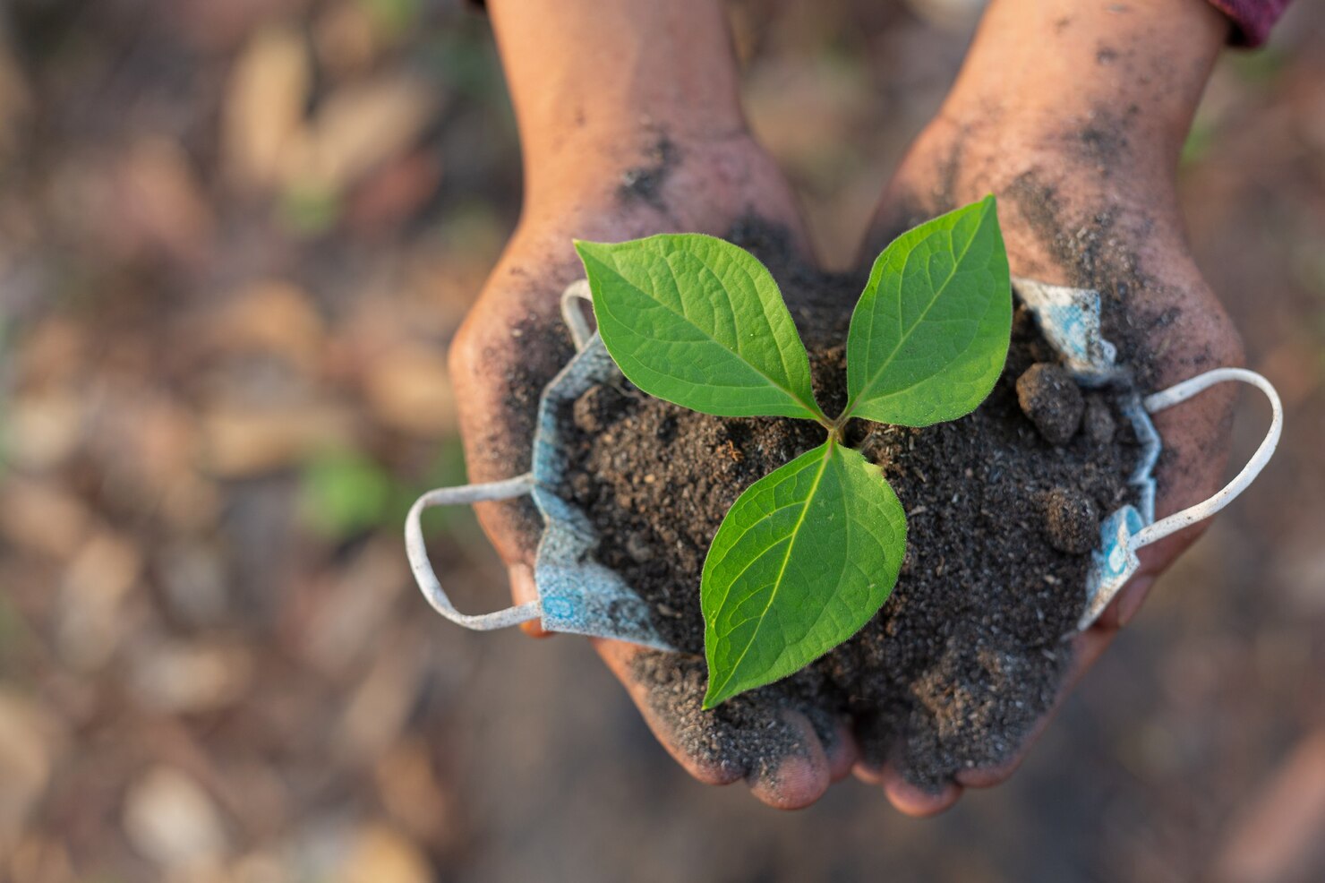 Ranking dos municípios paulistas com melhores práticas agropecuárias será divulgado na próxima segunda-feira (15)