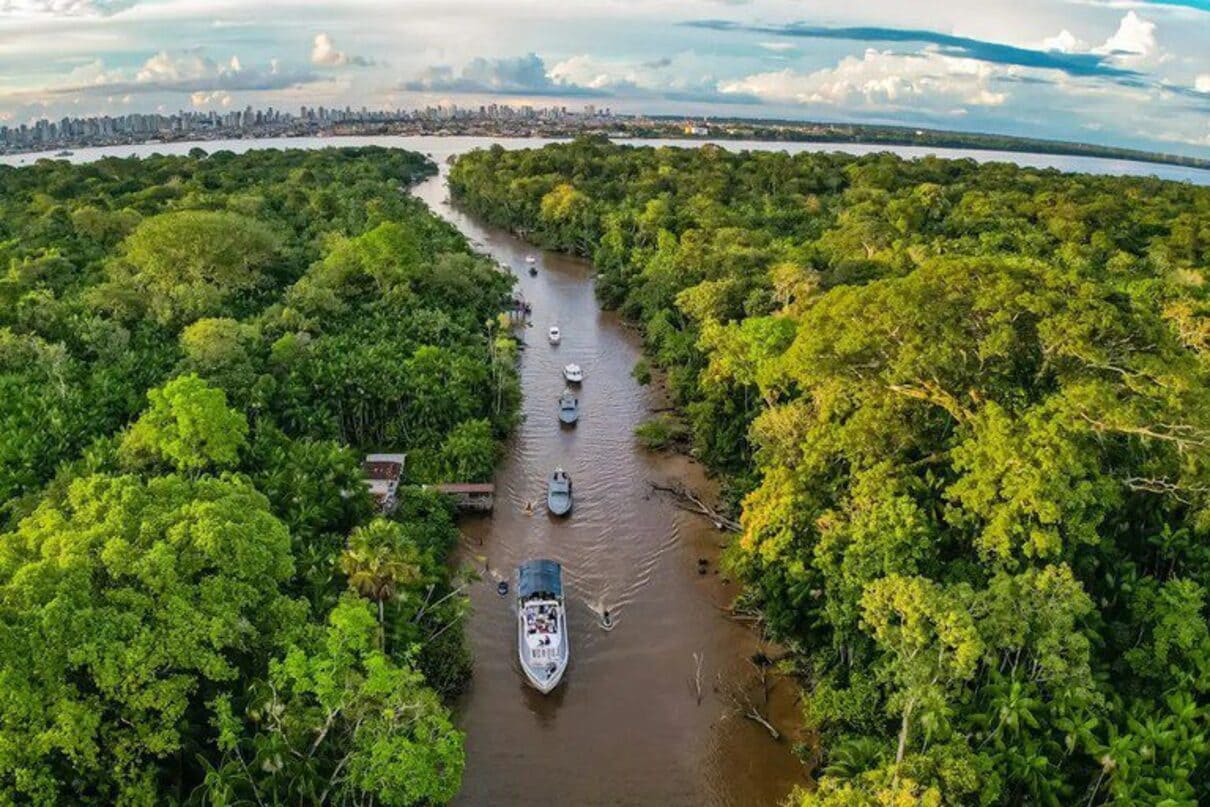 Governo abre consulta pública para proteger e impulsionar o jornalismo socioambiental