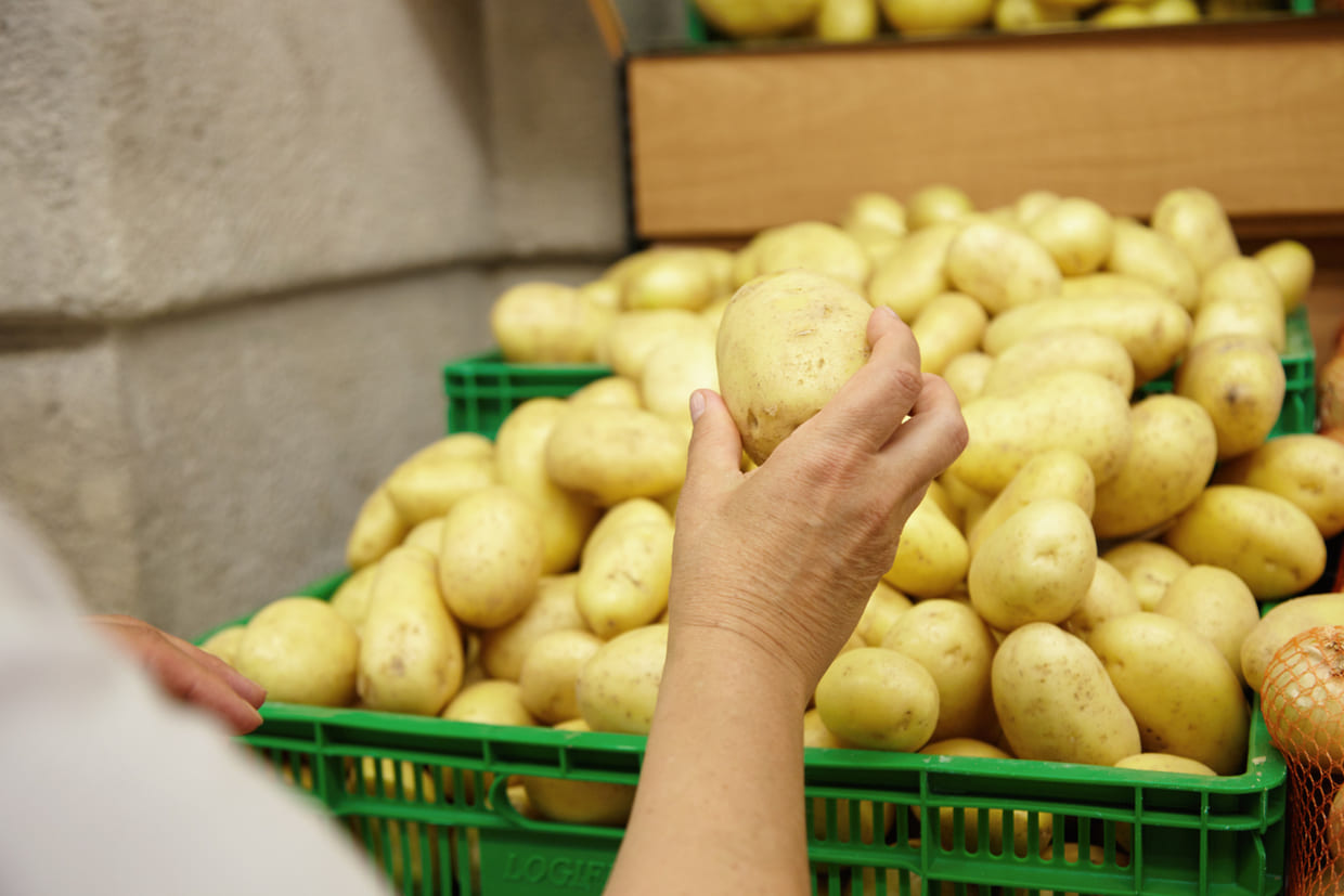 Guardar a casca de batata pode render um adubo poderoso: veja por que esse resíduo nutre as plantas e fortalece as raízes