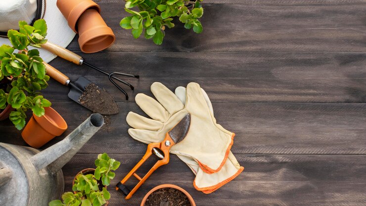 Pais jardineiros: ferramentas e acessórios que não podem faltar no cultivo