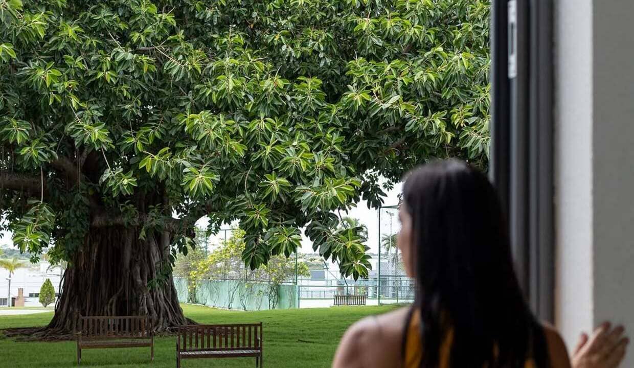 Por que a figueira é conhecida como a árvore que ‘chama-cobras’