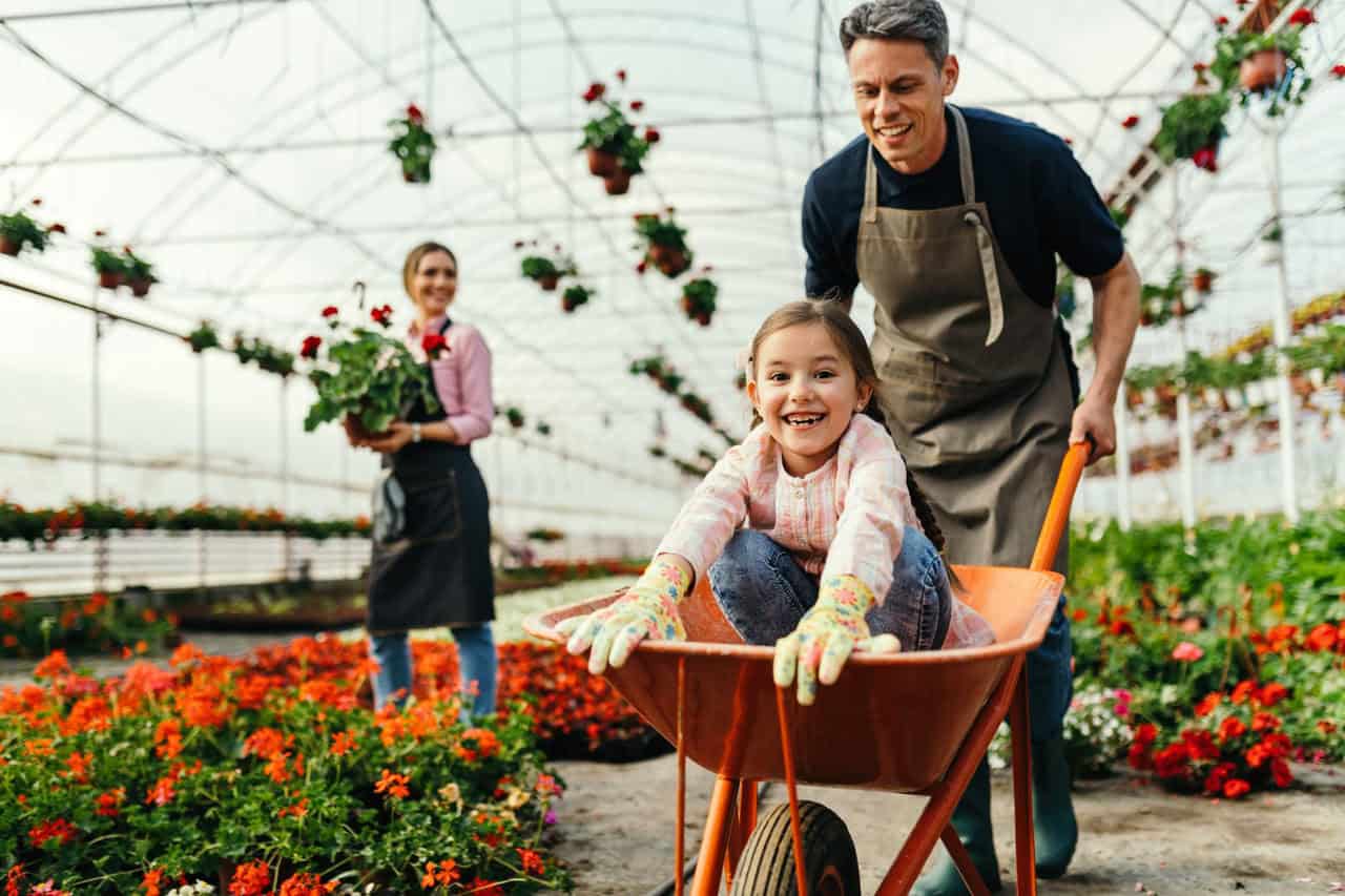 Você está cuidando errado das suas plantas? Conheça 5 mitos que atrapalham mais do que ajudam