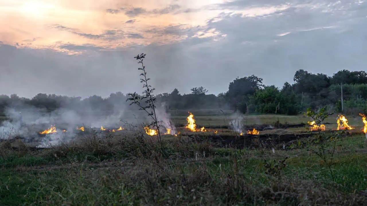 Ação coordenada na Amazônia despenca focos de incêndio em Rondônia