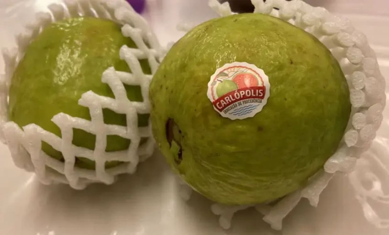 Brasil marca presença na Fruit Attraction Madrid com apoio do Sebrae